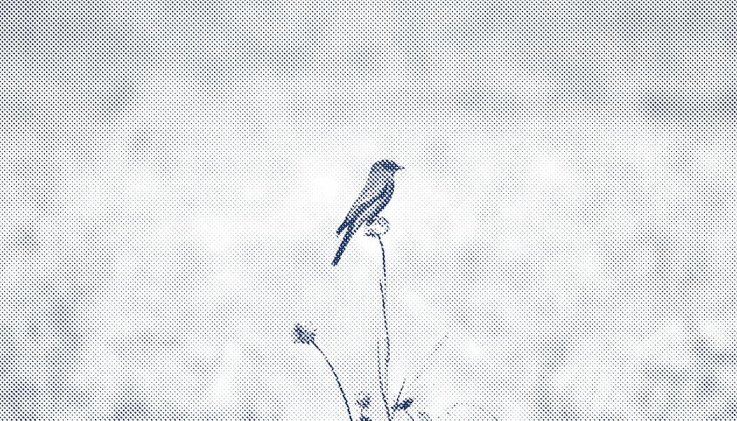 Avis de décès de Yannick Jean Marie GUYON