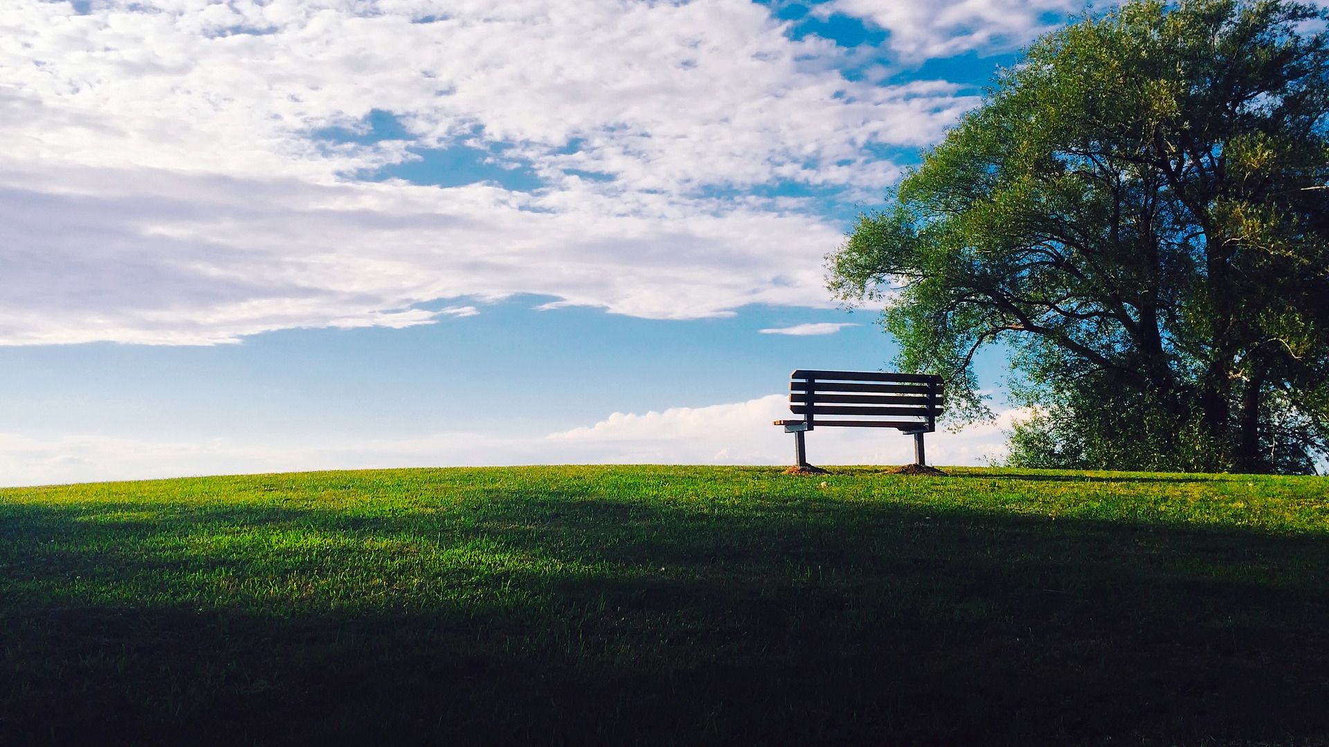 Photo d'un banc dans un champ