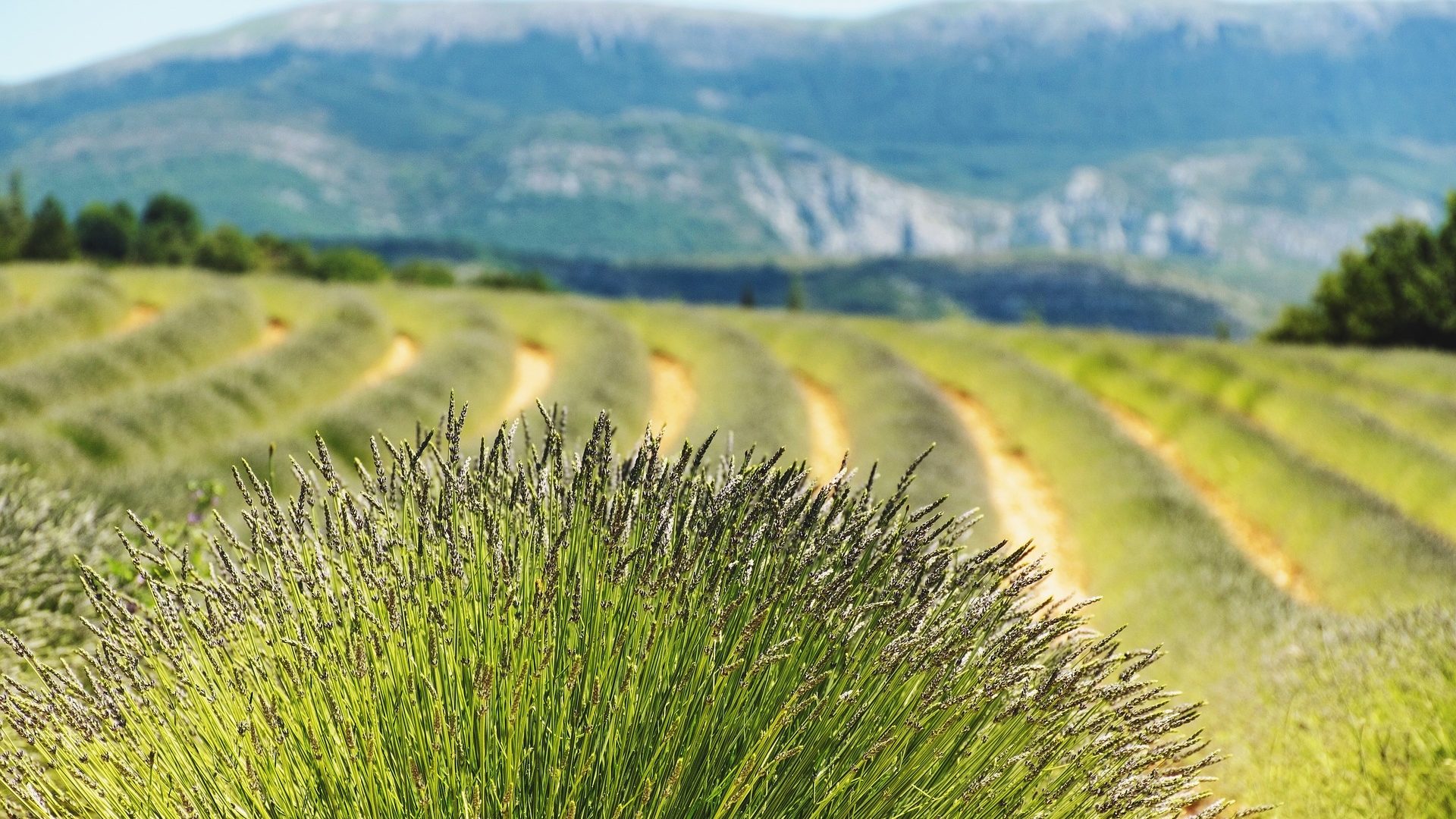 France-Obseques-Agence-Alpes-Haute-de-Provence