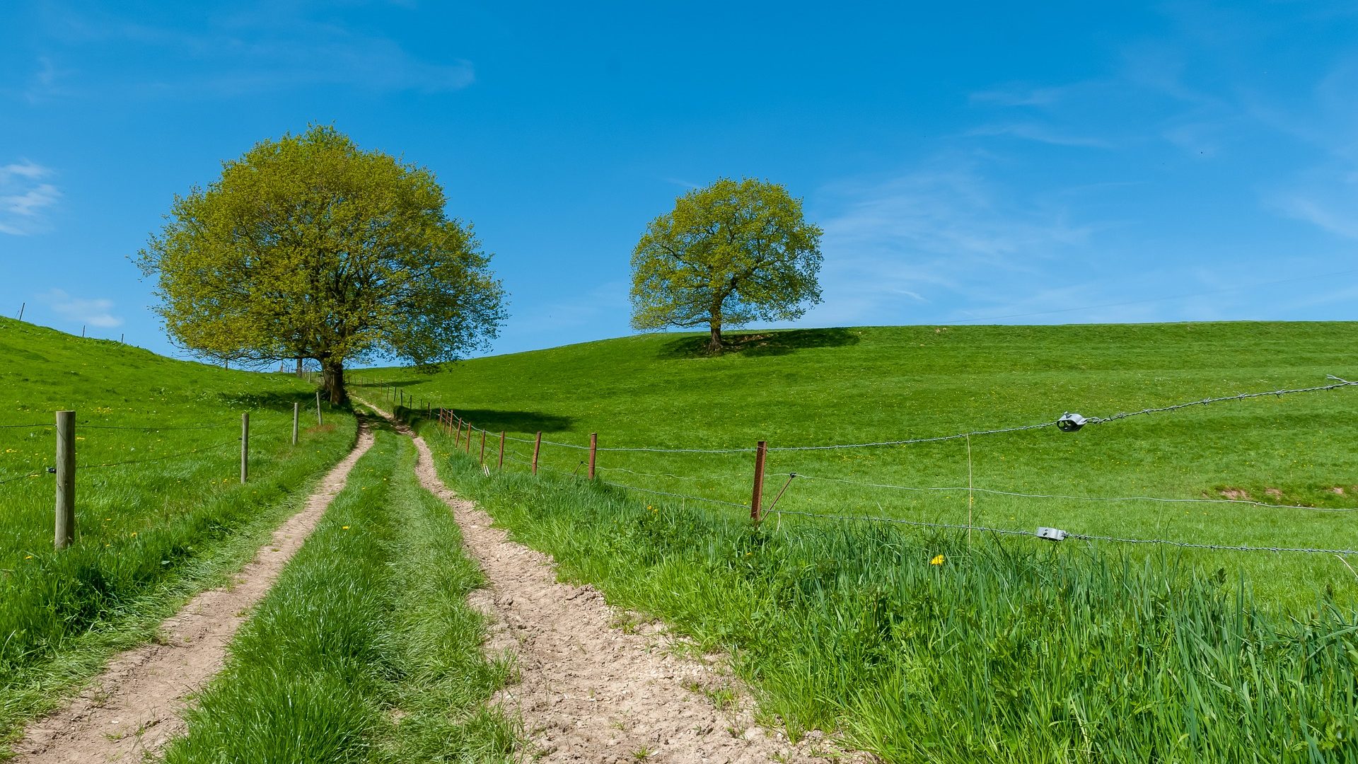 France-Obseques-Agence-Normandie