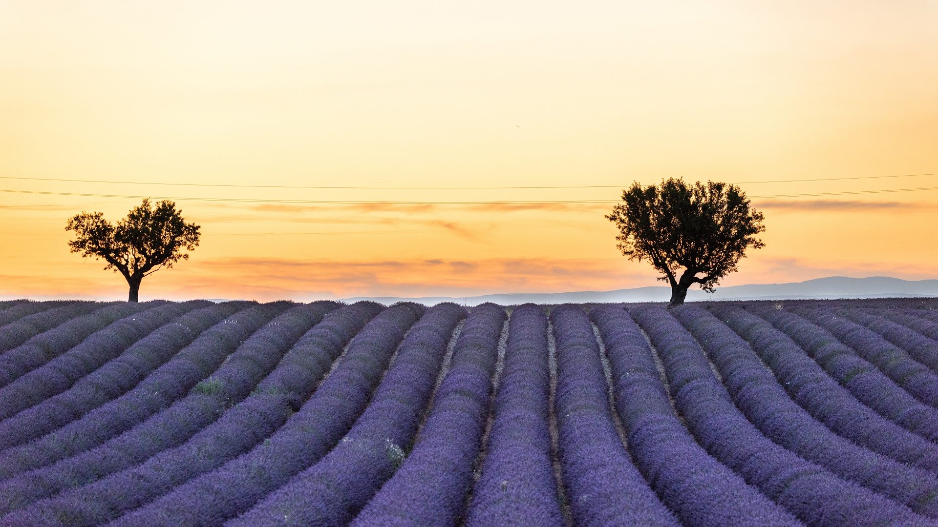 France-Obseques-Agence-Vaucluse