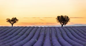 France-Obseques-Agence-Vaucluse