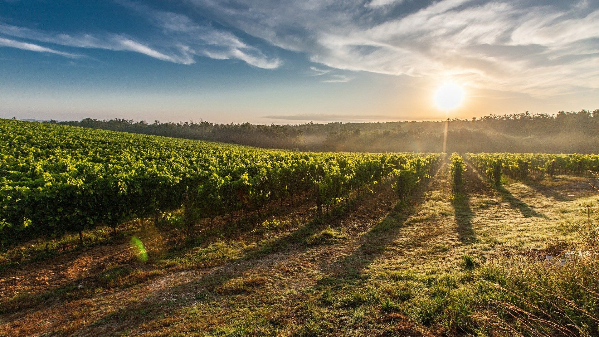 France-Obseques-Agence-region-Est