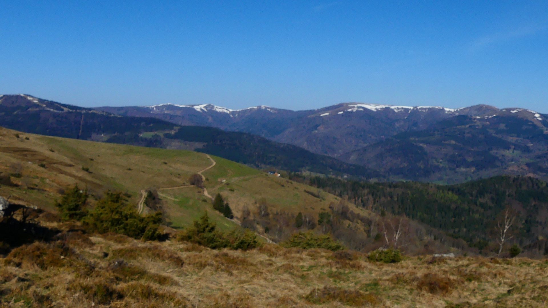 Vosges - Pompes Funebres de la vallée de Munster - France Obsèques